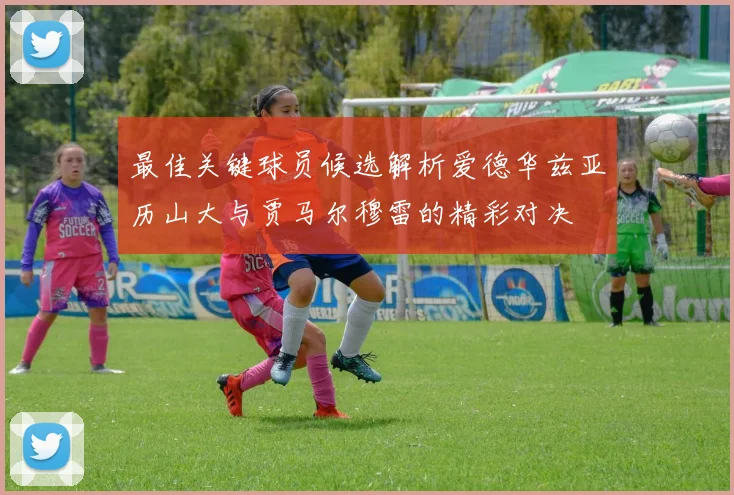 最佳关键球员候选解析爱德华兹亚历山大与贾马尔穆雷的精彩对决